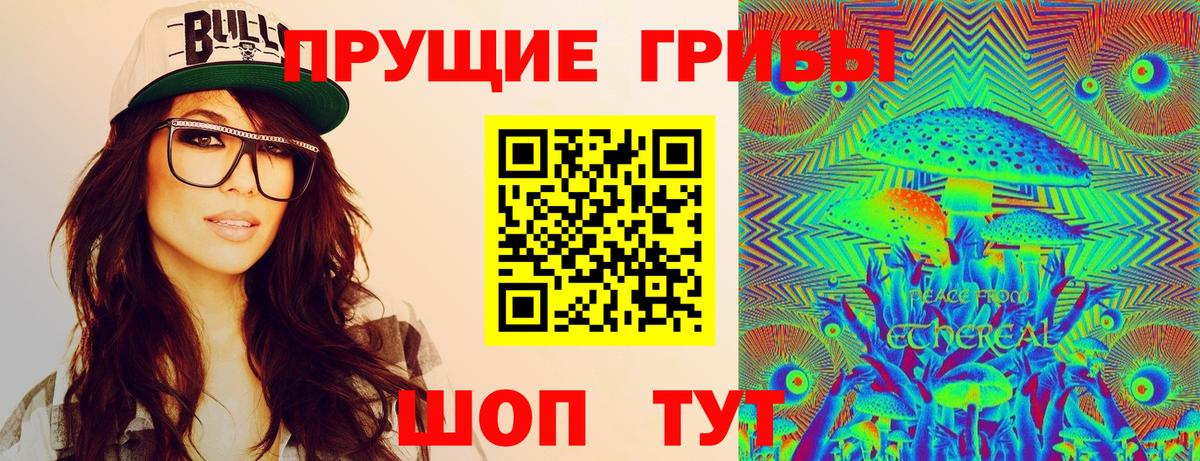 Галлюциногенные грибы Psilocybine cubensis Дагестанские Огни